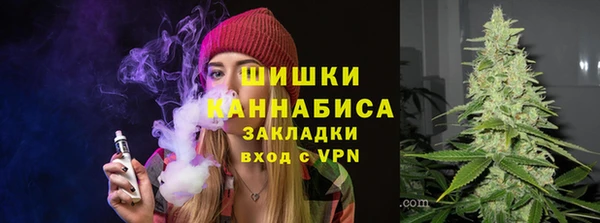 тгк Каменка