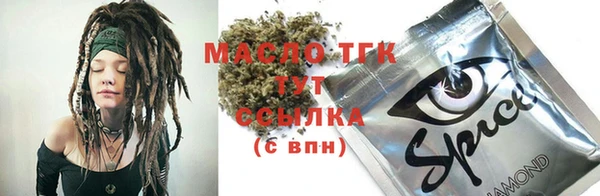 тгк Каменка