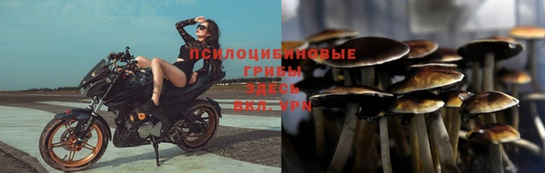 спайс Каменногорск