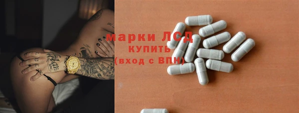 тгк Каменка