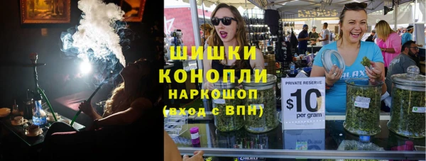 тгк Каменка