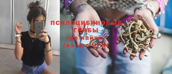 спайс Каменногорск