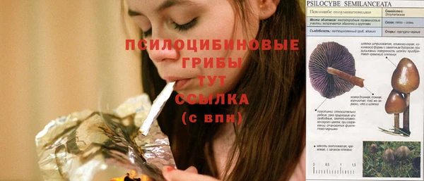 спайс Каменногорск